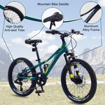 ZUN Mountain Bike for Girls and Boys Mountain 20 inch 7-Speed bike 15039137