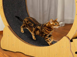 Cat Wheel Exerciser for Indoor Cats, 43.3-inch Large Cat Exercise Wheel for Running Silent, Cat 07677177