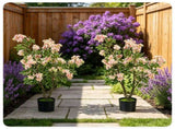 2 Pack 36" Artificial Impatiens Blossom Tree, Silk Fake Potted Flower Tree with Cement Base, 25461079