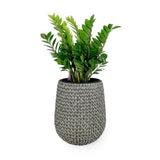 ZUN 17.3" Self-watering Wicker Planter - Garden Decoration Pot - Gray - Round B046P144673