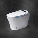 ZUN Smart Toilet, Auto Flush, Heated Integrated Advance Bidet and Soft Closing Seat, Massage Washing, W1667138485