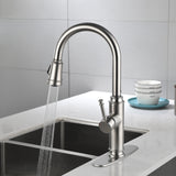 ZUN Single Handle High Arc Pull Out Kitchen Faucet,Single Level Stainless Steel Kitchen Sink Faucets 82522326