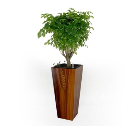ZUN 13" Composite Self-watering Cylinder Square Planter Box - High - Dark Wood B046P144683