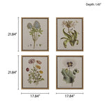 ZUN 4-piece Botanical Illustration Framed Canvas Wall Art Set B03599414