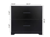 ZUN 2 -Drawer Lateral Filing Cabinet,Storage Filing Cabinet for Home Office, Black W2282140365