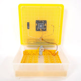 ZUN 48-Egg Practical Fully Automatic Poultry Incubator Yellow & Transparent 76829079