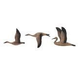 ZUN Set of 3 Reeds Migrating Bird Wall Decor, Home Decor for Living Room Dining Room Office Bedroom W2078130257