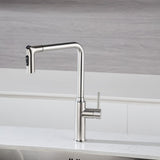 ZUN Rainlex Kitchen Faucet W1194135271