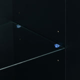 ZUN U_Style Storage Cabinets with Acrylic Doors, Light Luxury Modern Storage Cabinets with Adjustable WF305892AAB