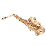 ZUN Alto Saxophone E-Flat Alto SAX Eb with 11reeds, case,carekit,Gold 30684206