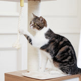 ZUN Modern Wooden Cat Tree Multi-Level Cat Tower With Fully Sisal Covering Scratching Posts, Deluxe 56577004