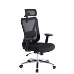 ZUN Ergonomic Office Desk Chair,Mesh High Back Computer Chair with Adjustable 3D Headrest & Lumbar W2068123471