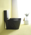 ZUN 15 5/8 Inch 1.1/1.6 GPF Dual Flush 1-Piece Elongated Toilet with Soft-Close Seat - Matte Black W1573101059