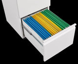 ZUN Metal 2 Drawer Mobile File Cabinet with Lock, Under Desk Office Steel Filing Cabinet, 25.6''H W1247125572