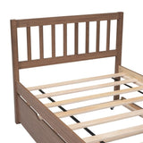 ZUN Modern Design Wooden Twin Size Platform Bed Frame with Trundle for Walnut Color W697121852