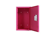 ZUN 24" H Locker Cabinet, Metal Locker Cabinet with 1 Doors, Small Metal Locker,Lockable W396100786
