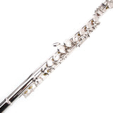 ZUN Nickel Plated C Closed Hole Concert Band Flute Silver 38901446