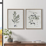 ZUN Botanical Illustration 2-piece Framed Canvas Wall Art Set B03598861