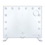 ZUN Vanity Mirror with 14 Dimmable Bulbs, 19.7x23.6inch, 3-Color Modes Cosmetic Mirror with 5X 84226976