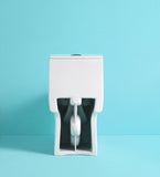 ZUN AquaFlush Pro Toilet Fixture Kit 23T02-GWP02 W1573104728