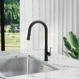 ZUN Single Handle Pull Down Sprayer Kitchen Faucet with Advanced Spray, Pull Out Spray Wand in Matte W1626130674