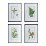 ZUN Set of 4 Botanical Black And White Fern Wall Art , Wall Decor for Living Room Dining Room Entryway, W2078130254