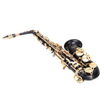 ZUN Alto Saxophone E-Flat Alto SAX Eb with 11reeds, case,carekit, Black 54900076