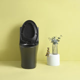 ZUN 1.1/1.6 GPF Dual Flush 1-Piece Elongated Toilet with Soft-Close Seat - Matt Black 23T02-MB W1573101062