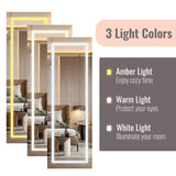 ZUN Full mirror wooden floor type with 1 shelf, 3-color led mirror lamp, 8 white interior lamp beads, 07089036