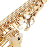 ZUN Alto Saxophone E-Flat Alto SAX Eb with 11reeds, case,carekit,Gold 30684206