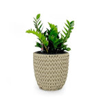 ZUN 14.6" Self-watering Wicker Planter - Garden Decoration Pot - Beige - Round B046P144663
