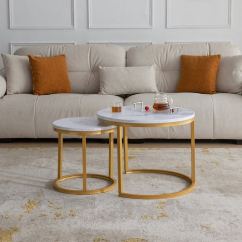 ZUN Modern Nesting coffee table,golden metal frame with marble color top-23.6" W848107452