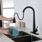 ZUN Kitchen Faucets with Pull Down Sprayer, Kitchen Sink Faucet with Pull Out Sprayer, Fingerprint 88256761