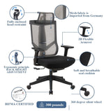 ZUN Excustive office chair with headrest and 2D armrest, chase back function with 7 gears adjustment, W137056533