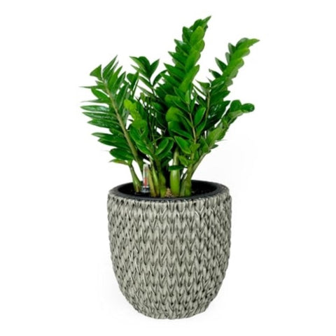 ZUN 14.6" Self-watering Wicker Planter - Garden Decoration Pot - Gray - Round B046P144664