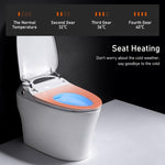 ZUN Smart Toilet, Auto Flush, Heated Integrated Advance Bidet and Soft Closing Seat, Massage Washing, W1667138485
