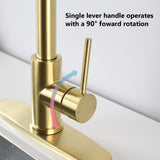 ZUN Stainless Steel Pull Down Kitchen Faucet with Soap Dispenser Brushed Gold JYBB41202BG