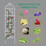 ZUN 2 Pack Metal Garden Trellis 86.7" x 19.7" Rustproof Trellis for Climbing Plants Outdoor Flower W1586104502
