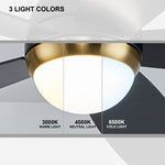 ZUN 52 Inch Black Ceiling Fan with Lights W1891134164