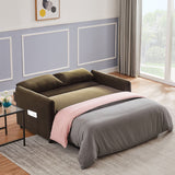 ZUN Double seat sofa bed sofa with pull-out bed, adjustable backrest with 2 lumbar pillows for small 40758871