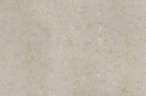 ZUN ACME Danae CHAIR W/2 PILLOWS Fabric, Champagne & Gold Finish LV01195
