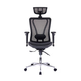 ZUN Techni Mobili High Back Executive Mesh Office Chair with Arms, Headrest and Lumbar Support , Black RTA-1009-BK