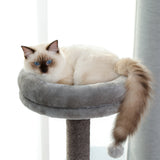 ZUN Wooden Cat Tree 4 Levels Platform for Large Cats Featuring with Fully Scratching Posts, Hammock, 63522001