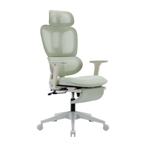 ZUN Ergonomic Mesh Chair with 2D Adjustable Armrest,High Back Desk Computer Chair,Ergonomic W1411118674