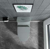 ZUN 15 5/8 Inch 1.1/1.6 GPF Dual Flush 1-Piece Elongated Toilet with Soft-Close Seat - Light Grey W1573101060