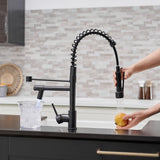 ZUN Commercial LED Kitchen Faucet with Pull Down Sprayer, Single Handle Single Lever Kitchen Sink Faucet W1932P155918