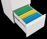 ZUN Metal 2 Drawer Mobile File Cabinet with Lock, Under Desk Office Steel Filing Cabinet, 25.6''H W1247125572