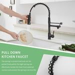 ZUN Commercial Kitchen Faucet with Pull Down Sprayer, Single Handle Single Lever Kitchen Sink Faucet W1932P155917