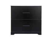ZUN 2 -Drawer Lateral Filing Cabinet,Storage Filing Cabinet for Home Office, Black W2282140365