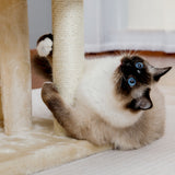 ZUN Modern Small Cat Tree Cat Tower With Double Condos Spacious Perch Sisal Scratching Posts,Climbing 07745990